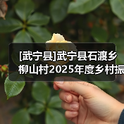 [武宁县]武宁县石渡乡柳山村2025年度乡村振兴示范村工程竞争性磋商采购公告(网)（图2）