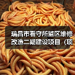 瑞昌市看守所监区维修改造二期建设项目（项目编号：JXDS2025-RC-CS003）采购公告（图2）