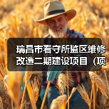 瑞昌市看守所监区维修改造二期建设项目（项目编号：JXDS2025-RC-CS003）采购公告（图3）