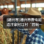 [德兴市]德兴市香屯街道汪家村江村“四融一共”和美乡村建设项目施工招标公告（图4）