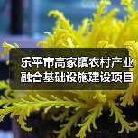 乐平市高家镇农村产业融合基础设施建设项目竞争性磋商招标公告(图2) 乐平市高家镇农村产业融合基础设施建设项目竞争性磋商招标公告(图2)