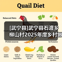 [武宁县]武宁县石渡乡柳山村2025年度乡村振兴示范村工程竞争性磋商采购公告(网)（图1）