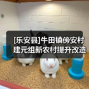 [乐安县]牛田镇傍安村建元组新农村提升改造工程（项目编号：FZDD-LZC-XE2025002）竞争性磋商招标公告（小额工程）(网)（图2）