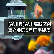 [遂川县]遂川高新区创富产业园5号厂房提质改造工程选取承建单位公告（图1）