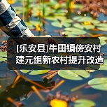 [乐安县]牛田镇傍安村建元组新农村提升改造工程（项目编号：FZDD-LZC-XE2025002）竞争性磋商招标公告（小额工程）(网)（图3）