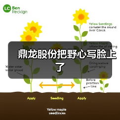鼎龙股份把野心写脸上了(图1) 鼎龙股份把野心写脸上了(图1)