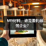 M9材料,谁是盈利最强企业?(图4) M9材料,谁是盈利最强企业?(图4)