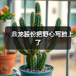 鼎龙股份把野心写脸上了(图2) 鼎龙股份把野心写脸上了(图2)