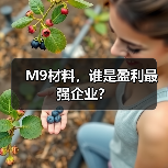 M9材料,谁是盈利最强企业?(图2) M9材料,谁是盈利最强企业?(图2)