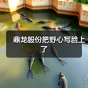 鼎龙股份把野心写脸上了(图3) 鼎龙股份把野心写脸上了(图3)