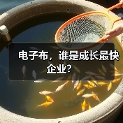 电子布,谁是成长最快企业?(图1) 电子布,谁是成长最快企业?(图1)