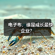 电子布,谁是成长最快企业?(图2) 电子布,谁是成长最快企业?(图2)