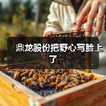 鼎龙股份把野心写脸上了(图4) 鼎龙股份把野心写脸上了(图4)