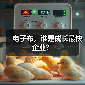 电子布,谁是成长最快企业?(图3) 电子布,谁是成长最快企业?(图3)