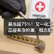 暴涨超75%!又一化工品迎来涨价潮,概念股来了(名单)(图1) 暴涨超75%!又一化工品迎来涨价潮,概念股来了(名单)(图1)