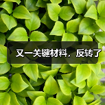 又一关键材料,反转了(图1) 又一关键材料,反转了(图1)