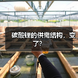 碳酸锂的供需结构,变了?(图2) 碳酸锂的供需结构,变了?(图2)