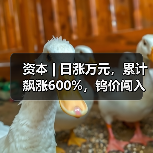 资本 | 日涨万元,累计飙涨600%,钨价闯入历史“无人区”(图2) 资本 | 日涨万元,累计飙涨600%,钨价闯入历史“无人区”(图2)
