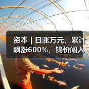资本 | 日涨万元,累计飙涨600%,钨价闯入历史“无人区”(图1) 资本 | 日涨万元,累计飙涨600%,钨价闯入历史“无人区”(图1)