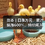 资本 | 日涨万元,累计飙涨600%,钨价闯入历史“无人区”(图3) 资本 | 日涨万元,累计飙涨600%,钨价闯入历史“无人区”(图3)