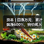 资本 | 日涨万元,累计飙涨600%,钨价闯入历史“无人区”(图4) 资本 | 日涨万元,累计飙涨600%,钨价闯入历史“无人区”(图4)