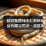 陕煤集团神木红柳林矿业有限公司北一盘区采煤沉陷沉稳区灌溉复垦工程招标公告（图2）
