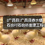 [广昌县]广昌县赤水镇石良村石良桥重建工程(网) 投资项目代码：2507-361030-04-05-855515（图1）