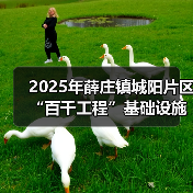 2025年薛庄镇城阳片区“百千工程”基础设施道路硬化项目招标公告（图3）