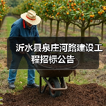 沂水县泉庄河路建设工程招标公告(图2) 沂水县泉庄河路建设工程招标公告(图2)