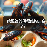 碳酸锂的供需结构,变了?(图3) 碳酸锂的供需结构,变了?(图3)