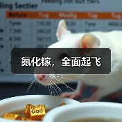 氮化镓,全面起飞(图4) 氮化镓,全面起飞(图4)