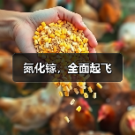 氮化镓,全面起飞(图3) 氮化镓,全面起飞(图3)