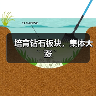 培育钻石板块,集体大涨(图3) 培育钻石板块,集体大涨(图3)
