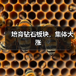 培育钻石板块,集体大涨(图1) 培育钻石板块,集体大涨(图1)