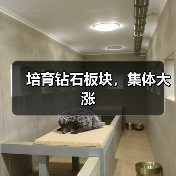 培育钻石板块,集体大涨(图4) 培育钻石板块,集体大涨(图4)