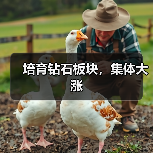 培育钻石板块,集体大涨(图2) 培育钻石板块,集体大涨(图2)