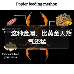 这种金属,比黄金天然气还猛(图1) 这种金属,比黄金天然气还猛(图1)