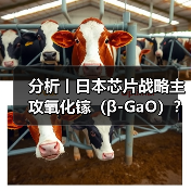 分析丨日本芯片战略主攻氧化镓(β-GaO)?(图4) 分析丨日本芯片战略主攻氧化镓(β-GaO)?(图4)