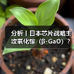 分析丨日本芯片战略主攻氧化镓(β-GaO)?(图3) 分析丨日本芯片战略主攻氧化镓(β-GaO)?(图3)