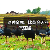 这种金属,比黄金天然气还猛(图3) 这种金属,比黄金天然气还猛(图3)