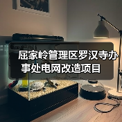 屈家岭管理区罗汉寺办事处电网改造项目（图2）