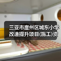 三亚市崖州区城东小学改造提升项目(施工)资格预审资格预审公告（图3）