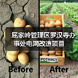 屈家岭管理区罗汉寺办事处电网改造项目（图3）
