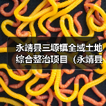 永靖县三塬镇全域土地综合整治项目（永靖县三塬镇库区移民沟道生态保护与修复工程）施工（图3）