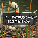 扒一扒锂电池材料行业的这个隐形冠军(图1) 扒一扒锂电池材料行业的这个隐形冠军(图1)