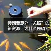 特朗普意外“关照”的新资源,为什么是磷?(图2) 特朗普意外“关照”的新资源,为什么是磷?(图2)