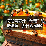 特朗普意外“关照”的新资源,为什么是磷?(图1) 特朗普意外“关照”的新资源,为什么是磷?(图1)