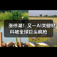 涨停潮!又一AI关键材料被全球巨头疯抢(图1) 涨停潮!又一AI关键材料被全球巨头疯抢(图1)