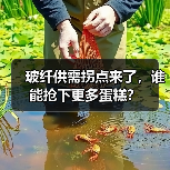 玻纤供需拐点来了,谁能抢下更多蛋糕?(图1) 玻纤供需拐点来了,谁能抢下更多蛋糕?(图1)