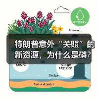 特朗普意外“关照”的新资源,为什么是磷?(图4) 特朗普意外“关照”的新资源,为什么是磷?(图4)